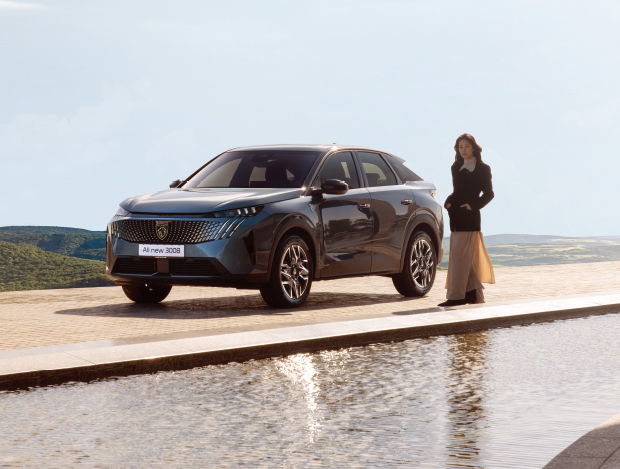 Ǫ�� �� �� 3008 ����Ʈ ���̺긮��� �Բ��� �ٻ��� ����