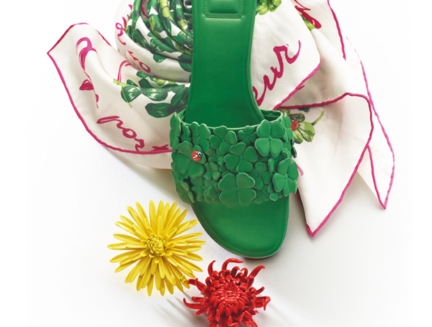 ��Ű �ö�� �׼�����