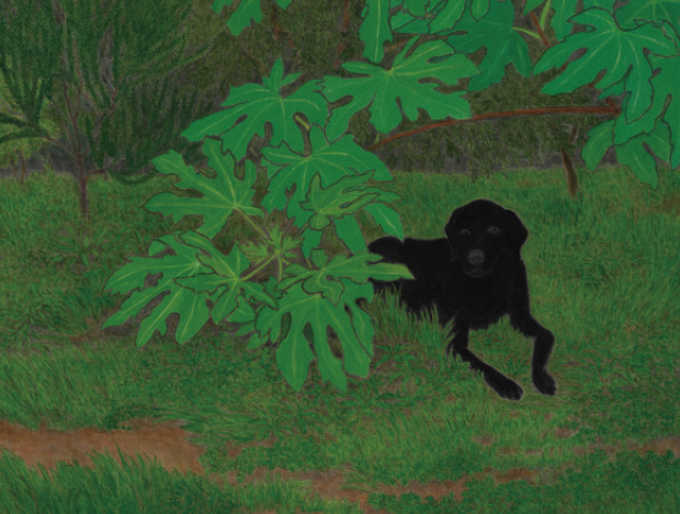 Ʈ 