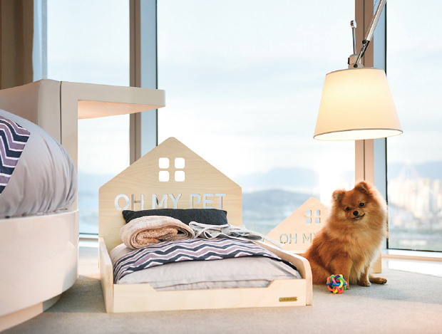 �ݷ������� �Բ�! ���� �� �����鸮 ȣ�� 7